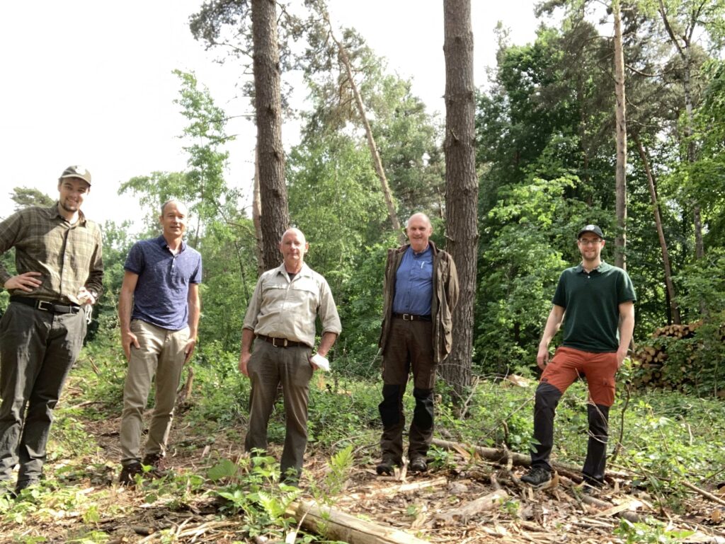 Fünf Männer im Wald. Der forstliche Gutachter Alfred Raunecker vom unabhängigen Zertifizierungsunternehmen DIN CERTO, Stefan Neubrandt (Revierleiter), Melvin Mika (Forstamtsleiter FA Langen), Wolf-Heinrich-Krahnstöver (Bereichsleiter Produktion beim FA Langen) und Sylvio Jäckel (DLB AöR, als Vertreter des Waldbesitzers)