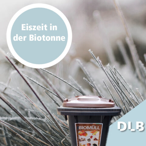 Eine mit Reif bedeckte Wiese. Im Vordergrund eine Biotonne. Darüber die Aufschrift: Eiszeit in der Biotonne.