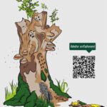 Schild mit der Aufschrift: Habitatbaum. Wo wertvoller Lebensraum groß geschrieben wird. Zu sehen ist ein gezeichnetes Bild eines Baumstumpfes mit grünem Moos, Baumpilzen und anderen bunten Gewächsen. Auf der rechten Seite sieht man einenQR-Code, der zu Beschreibungen der Habitatbäume auf die DLB Homepage führt.